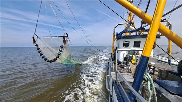 Der 15,8 Meter lange Kutter Claudia wurde 1979 gebaut und mehr als 40 Jahre in der Krabbenfischerei eingesetzt. Mittlerweile können Gäste zum Showfischen, zum Leuchtturm Robbenplate oder zum Containerpier mitfahren. Auch Seebestattungen werden angeboten. 