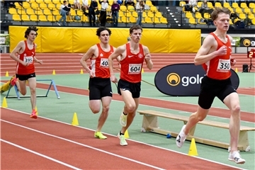 Tammo Doerner