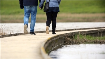 Der 400 Meter lange Bohlenweg ist die Attraktion des Langwarder Grodens. Die Tiere sind die hier laufenden Besucher gewöhnt und kommen deshalb sehr nah - vor allem die Seehunde.