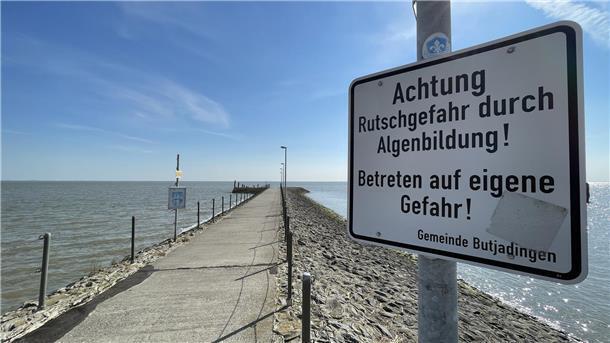 Der alte Anleger sollte durch einen neuen, komfortableren und sichereren Anleger ersetzt werden. Das Vorhaben steht nun völlig in den Sternen.