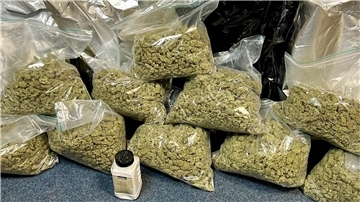 Der Angeklagte hat nach den Feststellungen des Gerichts mindestens 61 Kilogramm Marihuana (Symbolbild) aus den Niederlanden eingeführt.
