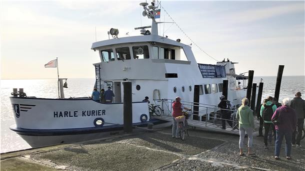 Der Anleger, an dem die „Harle Kurier“ zu Überfahrten nach Wilhelmshaven festmacht, ist nicht barrierefrei, tideabhängig und zudem immer wieder von rutschigen Algen überzogen.