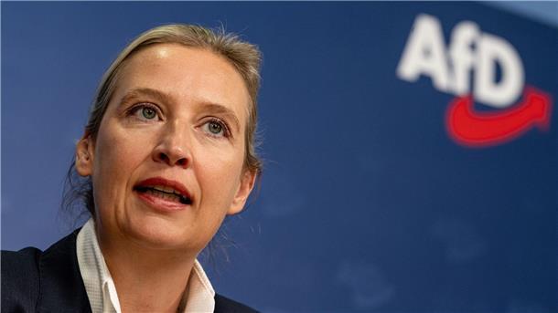 AfD trennt sich von Weidels Referent Der Arbeitsvertrag des Referenten der AfD-Parteichefin Alice Weidel wurde mit sofortiger Wirkung aufgelöst, wie die Partei mitteilte.