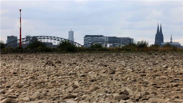 Weltklimarat fordert drastische Klimaschutzschritte vor 2030 Der ausgetrocknete Uferbereich des Rheins bei Köln im vergangenen Sommer.