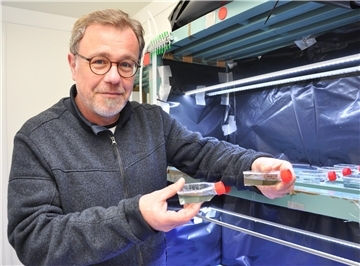 Der AWI-Wissenschaftler Dr. Stephan Ende mit Proben von Mikroalgen, die helfen könnten, ein großes Problem in der Wesermarsch zu lösen.