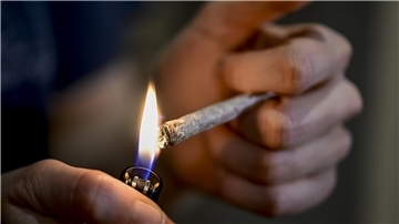 Cannabis, Joint