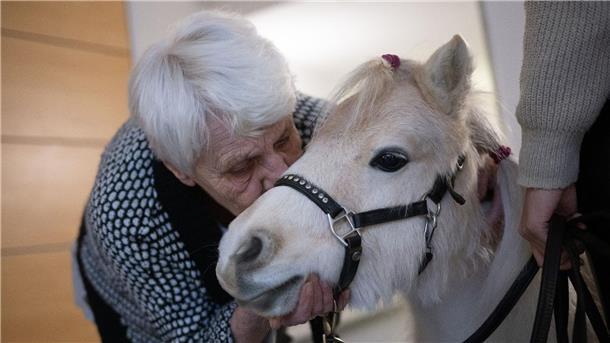 Ein Pony bringt Glücksgefühle ins Pflegeheim Der Besuch der Ponys im Altenheim bringt Abwechslung für die Bewohnerinnen und Bewohner.