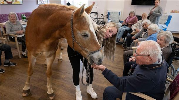 Kommt ein Pferd in den Speisesaal - Stute besucht Pflegeheim Der Besuch der Stute ist für die alten Menschen eine willkommene Abwechslung zum Alltag im Altersheim.