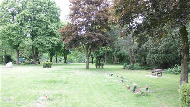freie Grünfläche auf dem Friedhof in Bokel