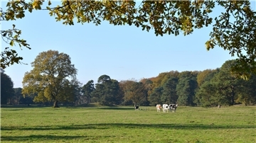 Der Brommelberg bei Rhadereistedt ist ein Landschaftsbereich mit hohem Erlebniswert.