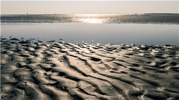 Wattenmeer 