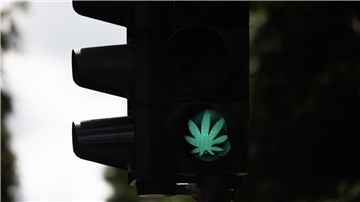Der Bundestag hat die kontrollierte Cannabis-Freigabe beschlossen.