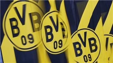 Der BVB geht juristisch gegen Wahlwerbung der AfD vor (Illustration)
