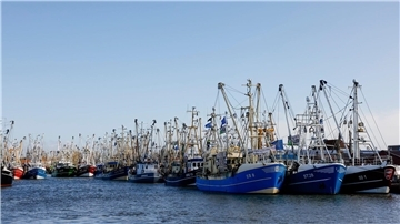 Der Dialog zur Krabbenfischerei im schleswig-holsteinischen Wattenmeer ist vorerst gescheitert. (Archivbild)