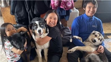 Der einjährige australische Schäferhund Nanuq (M) ist wieder mit seinem Rudel vereint.