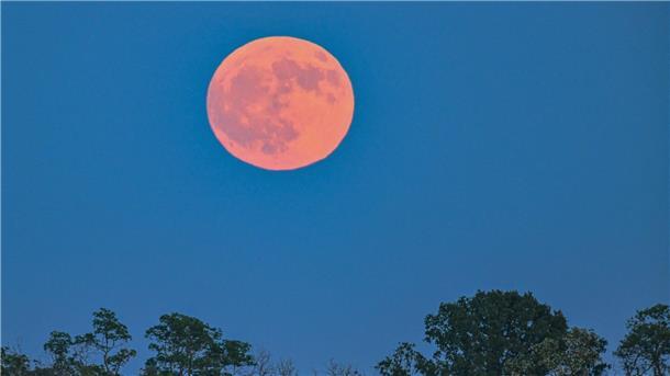 Wenn der „Erdbeermond“ am Himmel leuchtet Der Erdbeermond leuchtet am späten Abend rötlich über der Landschaft.