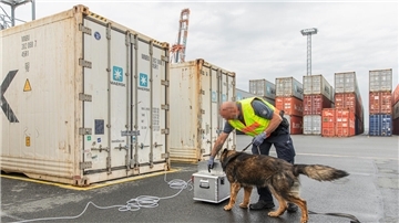 Der erfahrene Spürhund Bary erkennt auch feinste Spuren von Betäubungsmitteln in der Luftprobe.