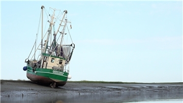 Fischkutter