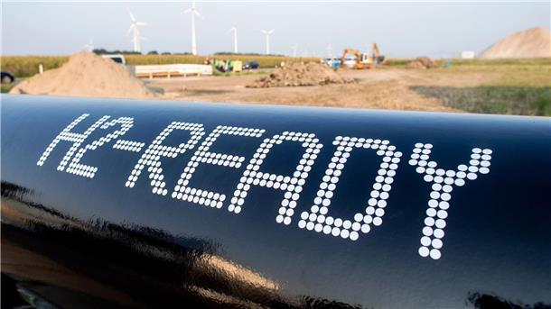 Habeck: Nordwesten wird wichtig für Wasserstoff-Hochlauf Der Fernleitungsnetzbetreibers Gasunie arbeitet an einem umfassenden Wasserstoffnetz.