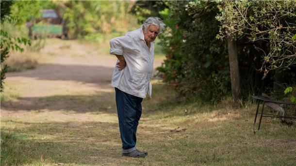 Idol der Linken: Uruguays Ex-Präsident Mujica gestorben Der frühere Präsident züchtete auf seiner Farm in der Nähe von Montevideo Blumen. (Archivbild)