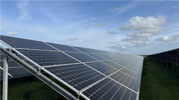 Das Foto zeigt einen Solarpark