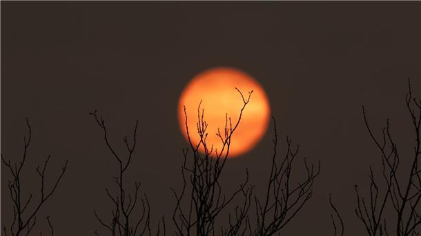 Indigene Feuerwehrleute kämpfen in Brasilien gegen Flammen Der gesamte Himmel ist bei den Bränden in Rauch gehüllt.