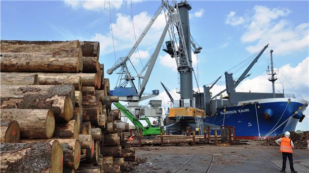 Der Holzumschlag in Nordenham läuft: Zwölf Schiffe pro Jahr sind das Ziel.