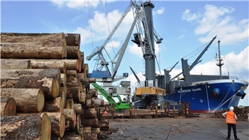 Der Holzumschlag in Nordenham läuft: Zwölf Schiffe pro Jahr sind das Ziel.