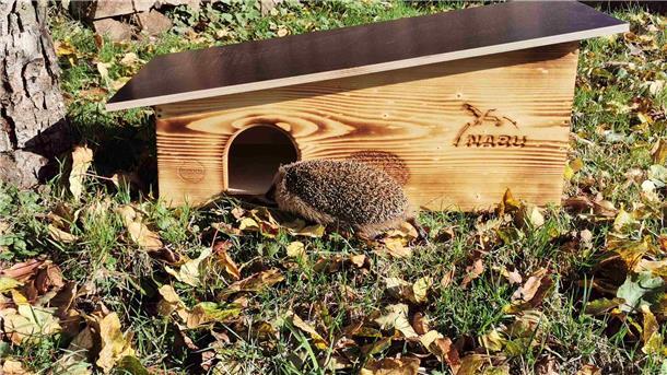 Alarmierende Zahlen: Lebensraumverlust bedroht den Igel Der Igel kämpft ums Überleben: Mit naturnahen Gärten, Igelburgen und offenen Zäunen kann jeder zum Schutz des Stachelritters beitragen.