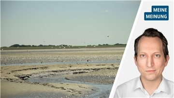 Es ist das Wattenmeer in Butjadingen zu sehen. Einzelne Prile verlaufen durch den Sand. 