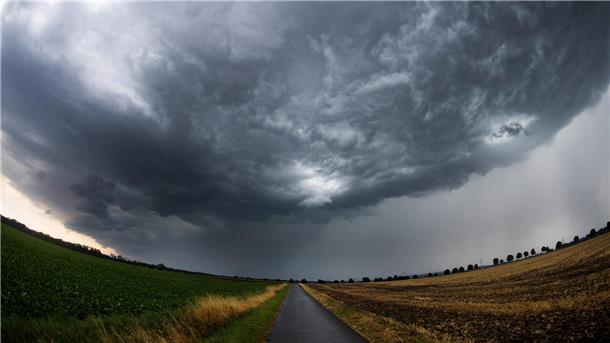 Der Klimawandel stellt auch die Landwirtschaft vor große Herausforderungen. Das Grünlandzentrum beschäftigt sich mit einem Konzept, Regenwasser nicht mehr komplett aus der Landschaft in die Weser und den Jadebusen abzuleiten, sondern zu speichern, um in Trockenperioden landwirtschaftliche Flächen wässern zu können.