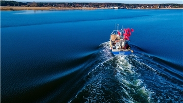 Der Kutter „Seewolf“ von Fischer Dirk Baumann steuert nach dem Heringsfang im Greifswalder Bodden den Hafen von Freest an.