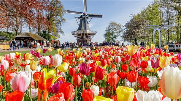 Der Landfrauenverein Wilstedt besucht im April dieses Jahres den Keukenhof in den Niederlanden.