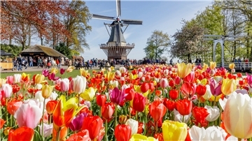 Der Landfrauenverein Wilstedt besucht im April dieses Jahres den Keukenhof in den Niederlanden.