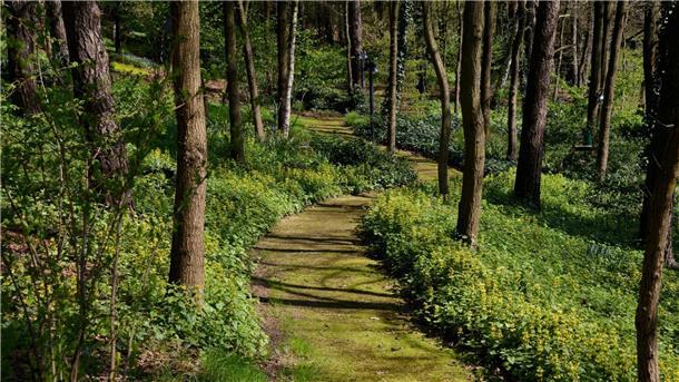 Der Landschaftsgarten Looks öffnet am 14. Mai die Tore für Besucherinnen und Besucher.