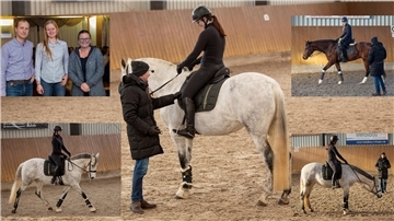 Reitlehrgang bei Schramm in Nordenham
