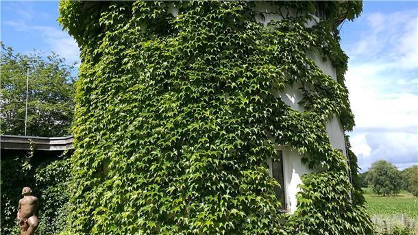 Haus Kreienhoop lädt zum Literaturnachmittag ein Haus Kreienhoop