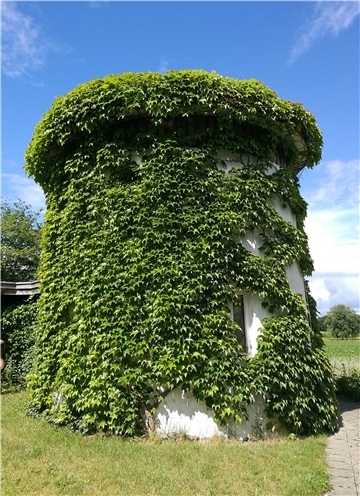 Kempowski
