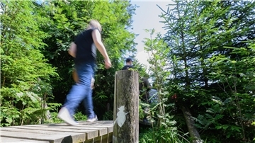 Der Magdeburger Weg ist Teil des Harzer Hexenstiegs. (Symbolbild) 