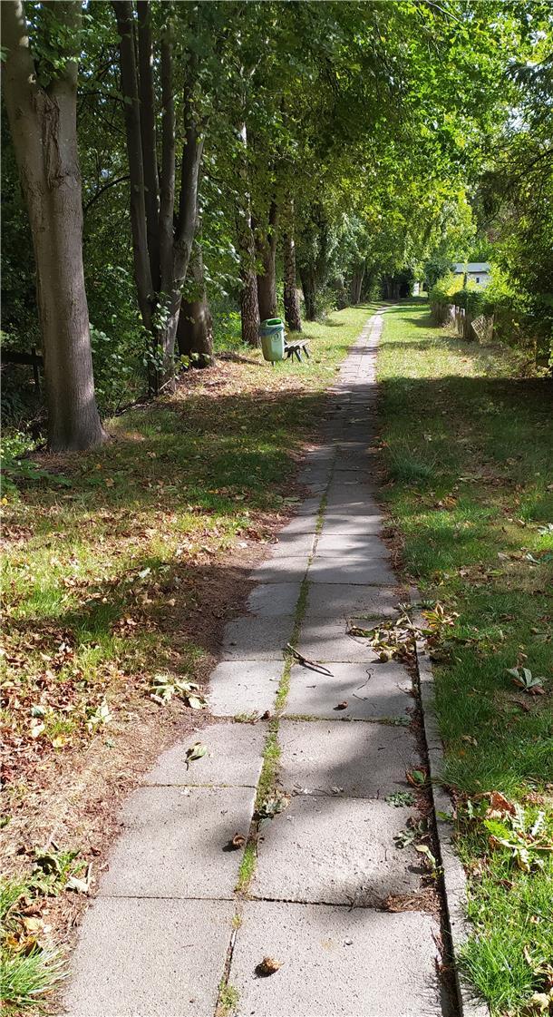 Der marode grüne Weg in Tossens von der Straße Auf dem Int zur Nordseeallee soll im kommenden Jahr erneuert werden. Das zu beschließen empfiehlt der Ausschuss für Bauwesen und Landwirtschaft dem am 6. Oktober tagenden Gemeinderat.
