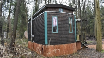 Ein kleines Haus aus Holz steht zwischen Bäumen.