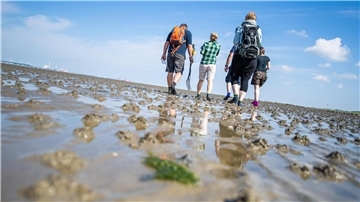 Wanderer im Watt