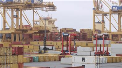 Das  „MSC Namibia“  liegt im Hintergrund an der Kaje. Davor zwei Containerbrücken und viele abgestellte Container.