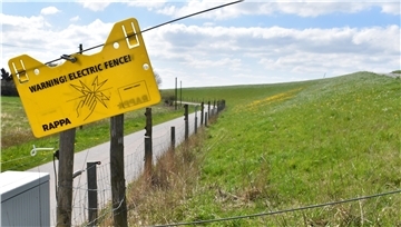 Der neue Elektro-Zaun ist 1,60 Meter hoch und schreckt die Wölfe mit 4000 Volt ab.