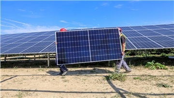 Der Nordenhamer Stadtrat hat an diesem Dienstag das letzte Wort. Folgt er der mehrheitlichen Empfehlung des Bauausschusses und lehnt die Solarpark-Pläne für Abbehausen ab?