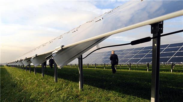 Bild von einer Freiflächen-Photovoltaikanlage auf Grünland