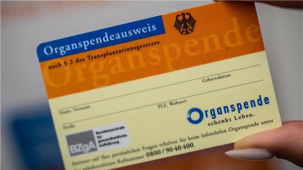 Fast 100.000 Einträge in neuem Register zu Organspenden Der Organspendeausweis kann verloren gehen - nun gibt es eine Datenbank im Internet.