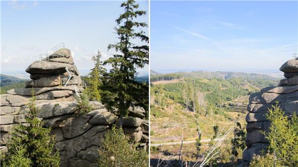Der Ottofelsen im Harz 2014 und 2023: Seit 2018 gibt es im Harz ein immenses Baumsterben. Damals warf ein Orkan zahlreiche Bäume um. Das Totholz in Verbindung mit der Trockenheit in den vergangenen Jahren führte zu einer besonders starken Ausbreitung des Borkenkäfers und zu einem massiven Fichtensterben.