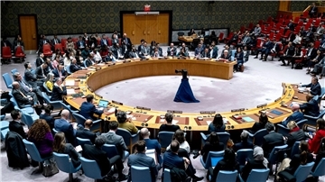 Der palästinensische UN-Botschafter Riyad Mansour (rechts im Hintergrund) spricht bei den Vereinten Nationen in New York zu den Mitgliedern des Sicherheitsrats.