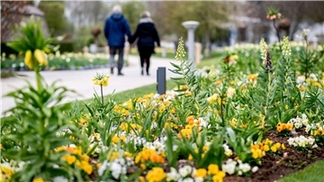Ein Paar schlendert Hand in Hand in einem Park vorbei an blühenden Blumenbeeten.